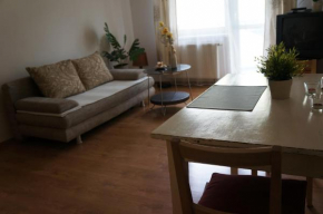 Apartament na Ratajach